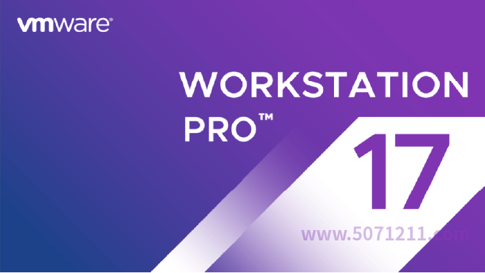 虚拟机 VMware WorksTation Pro (17.6.0）永久免费 特别版-办文绿软