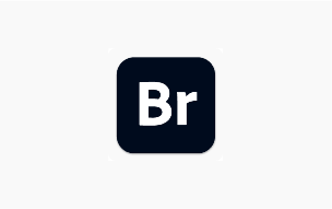Adobe Bridge Br2025 (15.0.3 525) 一键安装正式版-办文绿软