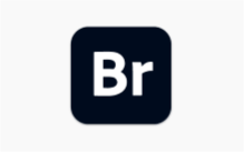 Adobe Bridge Br2025 (15.0.4.534) 一键安装特别版-办文绿软