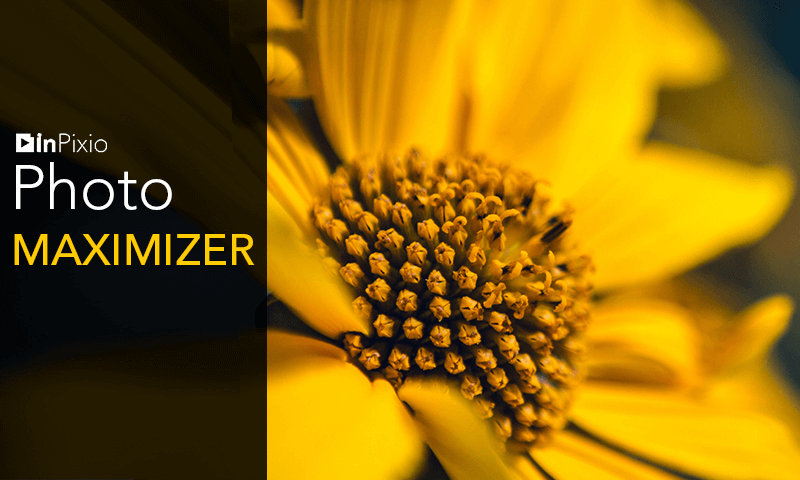 图片[1]-InPixio Photo Maximizer Pro v5.3.8624.22321 英文安装版 – AI驱动的图像放大增强工具-办文绿软