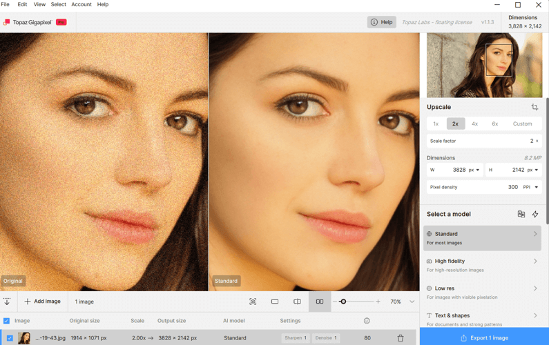 图片[1]-Topaz Gigapixel AI v1.2.0 英文便携版 – 专业AI图像超分辨率放大工具-办文绿软