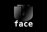 AI Image FaceSwap v2.7.1 多语言安装版 - AI图像换脸-办文绿软