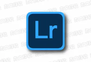 Adobe Lightroom Premium 安卓版 v11.4.4 – 手机调色软件-办文绿软