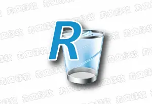 Revo Uninstaller Pro v5.5.2 便携版 – 专业深度卸载工具-办文绿软