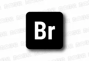 Adobe Bridge 2026 v16.0.4.40 直装版 – 专业数字资产管理工具-办文绿软