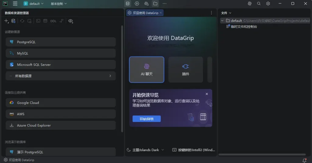 图片[1]-JetBrains DataGrip 2026.2.6 中文直装版 – 数据库集成开发环境-办文绿软