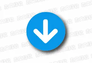 Any Video Downloader Pro v10.4.27 便携版 - 视频下载工具-办文绿软